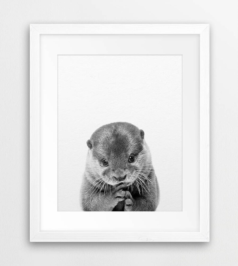 May include: A black and white photograph of a cute otter with its paws clasped together, looking directly at the camera.