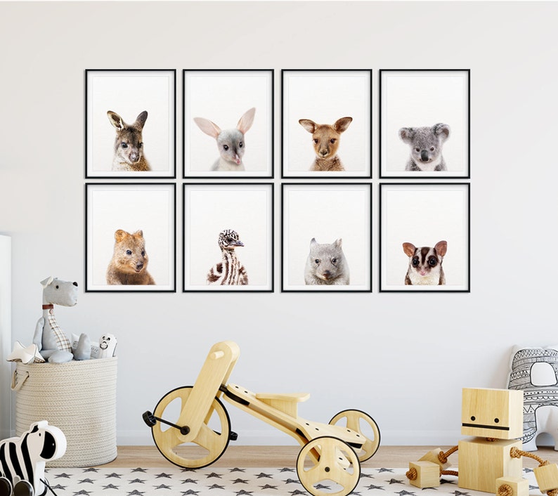 May include: A set of nine black framed prints featuring close-up photos of various Australian animals, including a kangaroo, wombat, echidna, koala, sugar glider, and more. The prints are arranged in a grid pattern on a white wall.