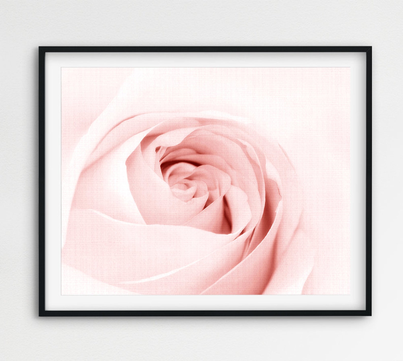 Rose Print Blush Pink Rose Art Flower Photography Blush | Etsy