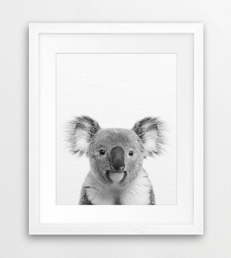 Koala Print Koala Bear Wall Art Nursery Decor Animal Etsy