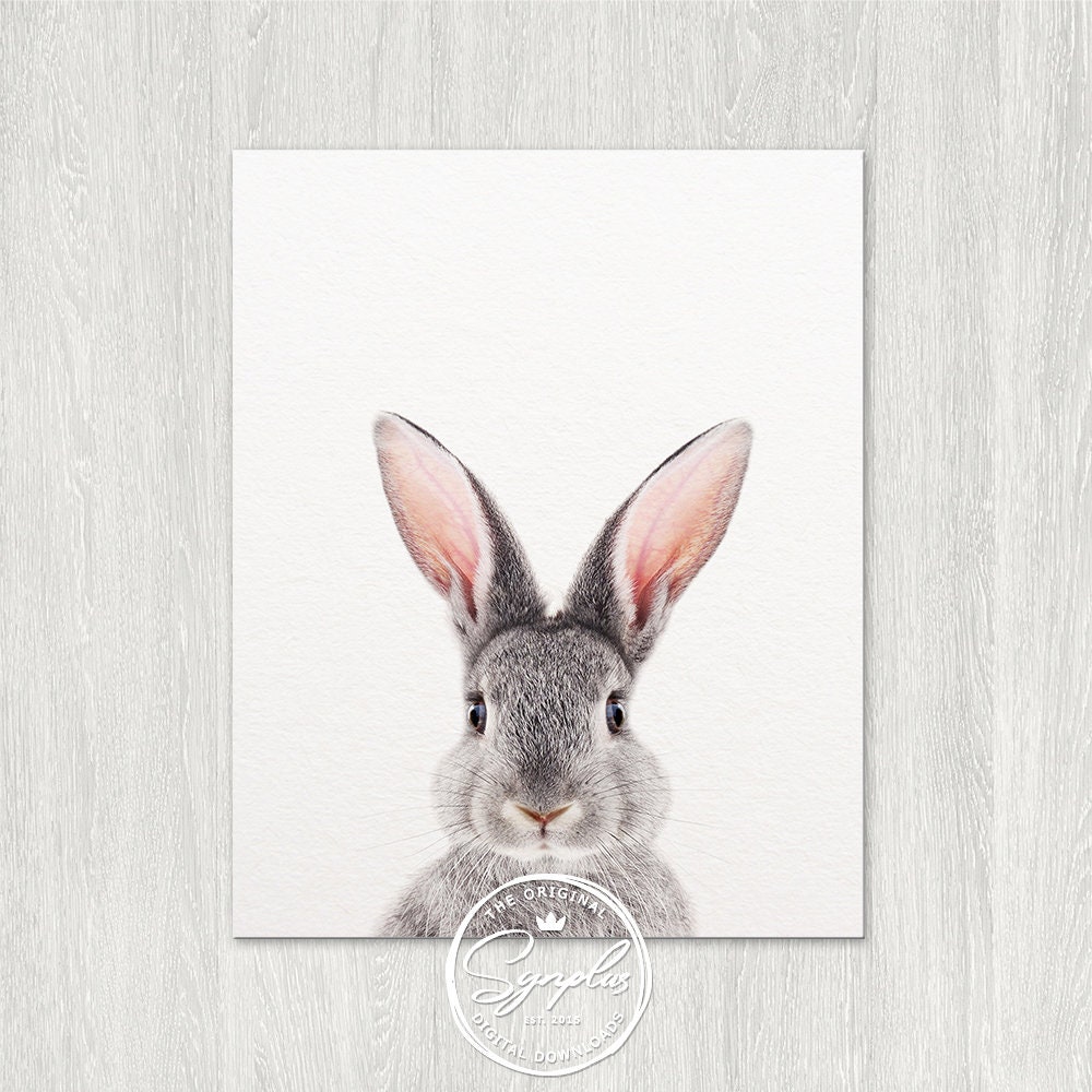 Set of 2 Bunny Print Rabbit Print Nursery Art Woodland - Etsy Australia