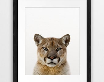 Puma Print, Cougar Photo, Mountain Lion Print, Forest Animal Wall