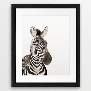 Zebra Print, Zebra Photo, Safari Animal Prints, Nursery Wall Art, African Animals, Modern Wall Art, Safari Nursery Decor, Kids Printable Art image 3