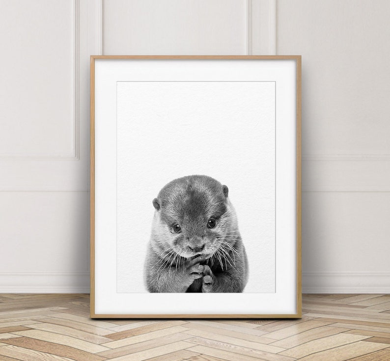 May include: Black and white photograph of a baby otter looking directly at the camera. The otter is sitting on a white background.