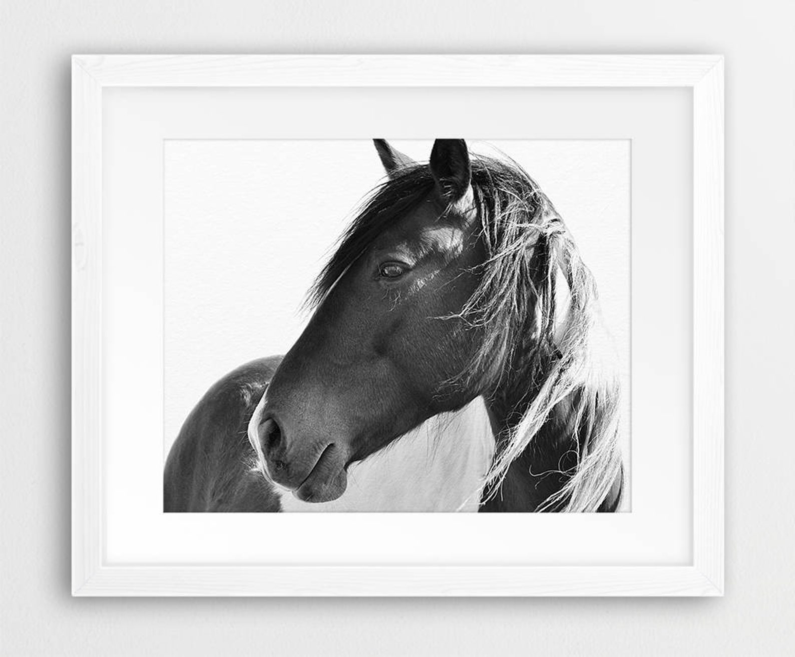 Horse Print Horse Photo Black And White Photography Wild | Etsy