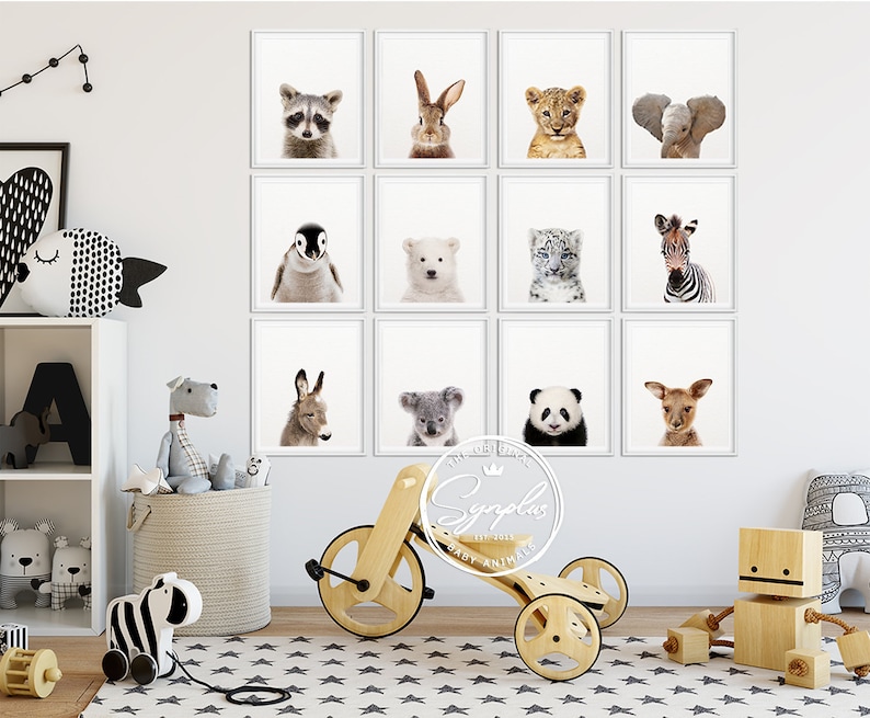 Nursery Animals Prints Baby Animals Set 12 Nursery Decor Etsy