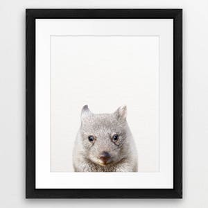 Wombat Print, Baby Wombat Wall Art, Cute Baby Animal Prints, Australian Animal, Nursery Animals Art, Nursery Decor, Kids Room Printable Art image 4