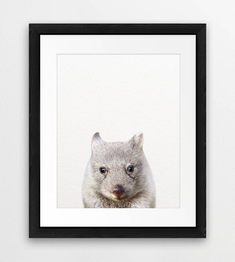 Wombat Print, Baby Wombat Wall Art, Cute Baby Animal Prints, Australian Animal, Nursery Animals Art, Nursery Decor, Kids Room Printable Art image 4