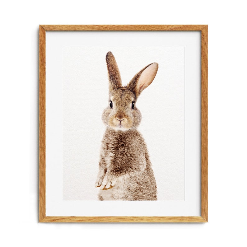 Woodland Nursery Decor Rabbit Print Bunny Print Baby Etsy