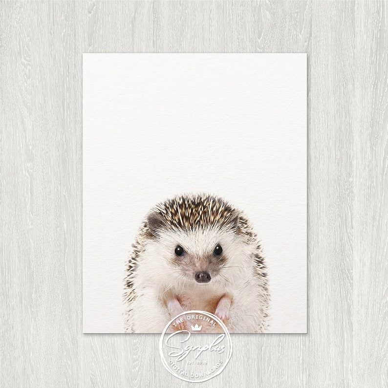 Hedgehog Print Nursery Decor Baby Hedgehog Art Woodland Etsy