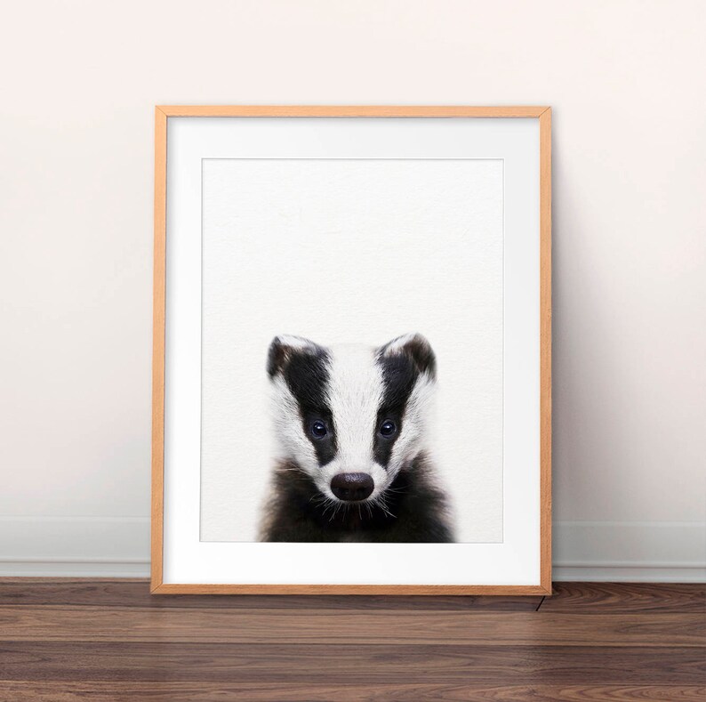 Badger Print, Nursery Wall Art, Badger Art, Baby Animals Nursery, Nursery Decor, Woodland Animals, Forest Animals, Kids Room Printable Art image 1