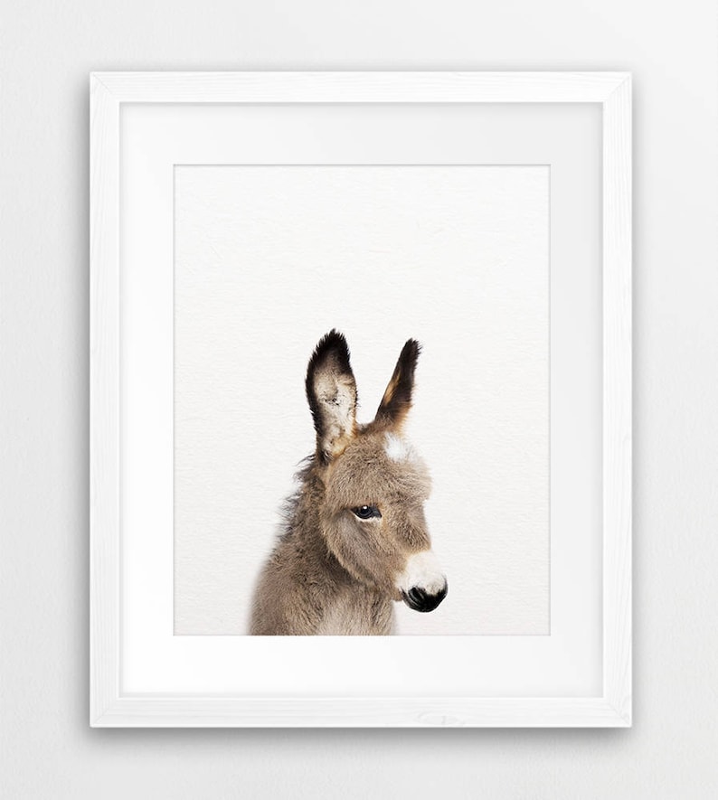 Donkey Print Farm Animal Wall Art Baby Donkey Foal Animal Etsy