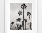 Palm Tree Printable Art, Palms Photo, Grey Print, Tropical Art, Nature Photo, Black And White Photography, Modern Wall Art Home Office Decor