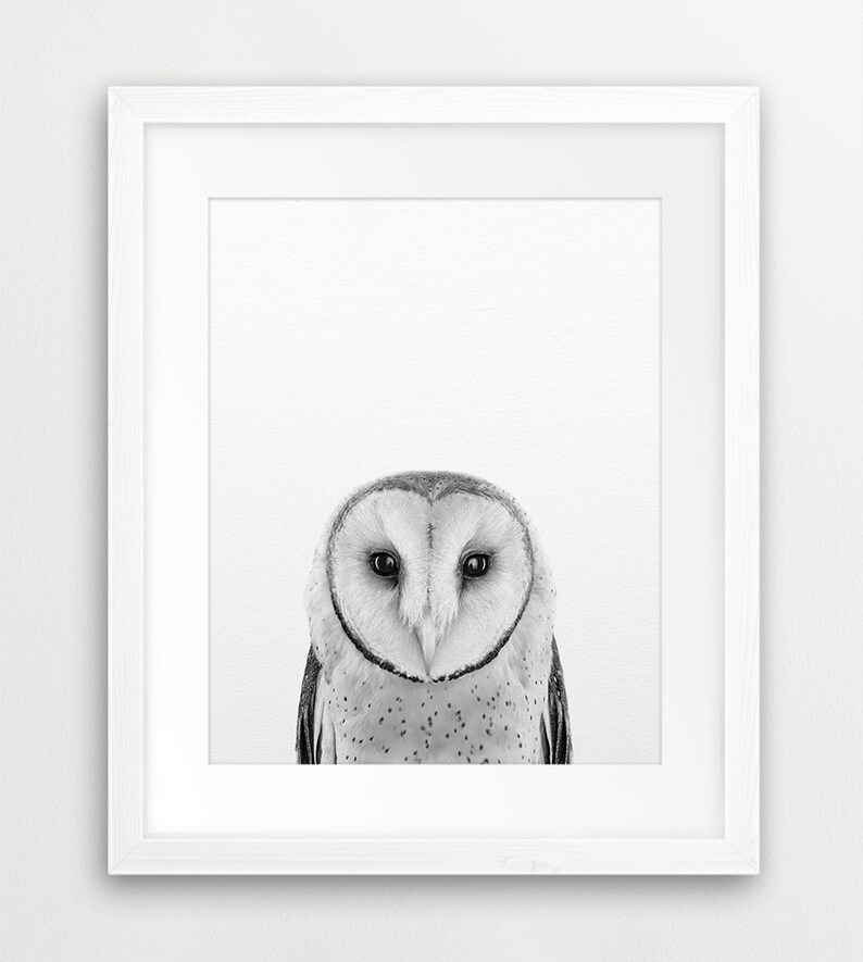 Owl Print Woodlands Owl Photo Woodland Nursery Decor Black Etsy