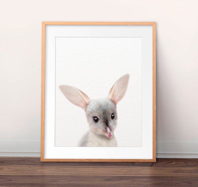 Baby Bilby Print Nursery Decor Australian Animals Art Bilby Etsy UK
