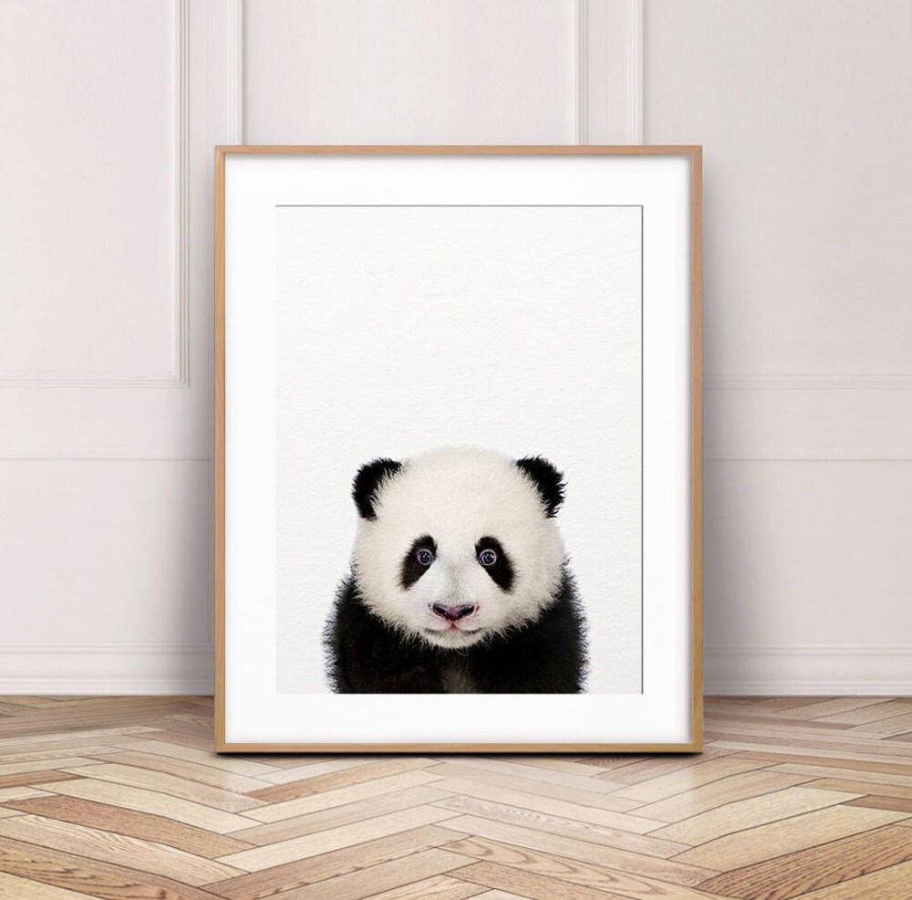 Baby Panda Bear Print, Nursery Wall Art, Baby Animals, Cute Panda Art ...