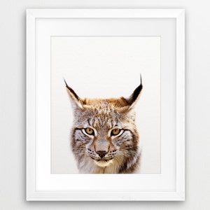 Bobcat Lynx Print, Lynx Photo, Bobcat Art, Nursery Wall Decor, Animal Photo Color Print, Woodlands Forest Animal, Kids Room Printable Art