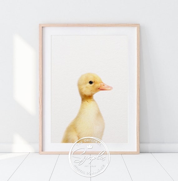 Baby duck art, Duckling farm animal nursery artwork by Paper Llamas