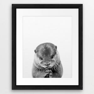 May include: A black and white photograph of a cute otter with its paws clasped together, looking directly at the camera.