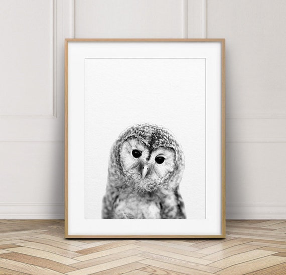 Owl Print, Nursery Wall Art, Baby Owl Photo, Woodlands Nursery Animal, Nursery Decor, Black & White, Baby Animal Prints, Kids Printable Art