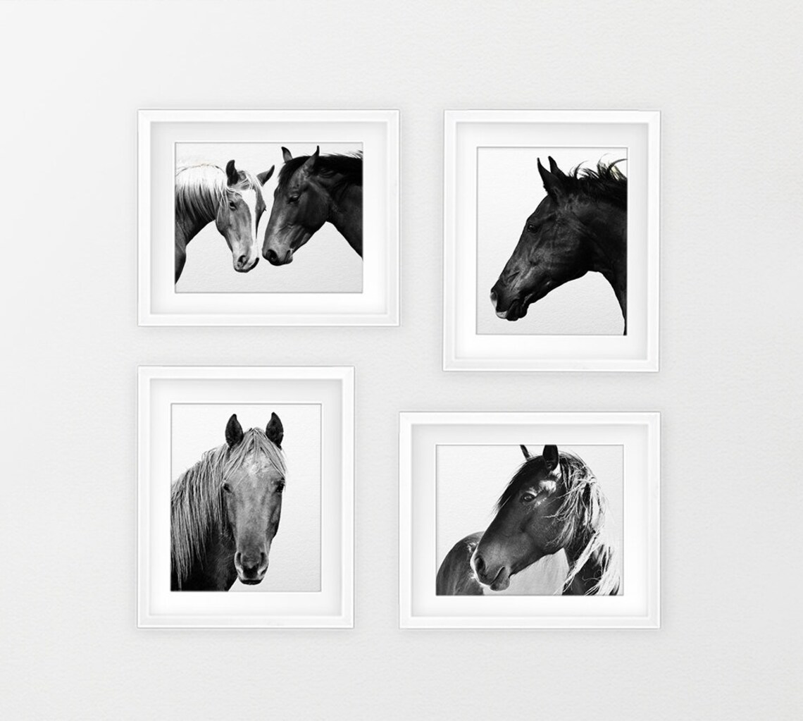 Horse Print Horse Photo Black And White Photography Wild | Etsy