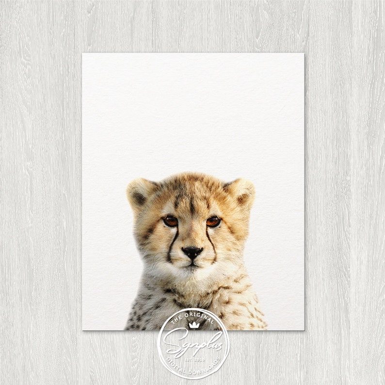 Cheetah Print Nursery Wall Art Cheetah Cub Photo Safari Etsy