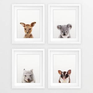 Puede incluir: Cuatro impresiones enmarcadas de animales australianos. La impresi&oacute;n superior izquierda presenta un canguro beb&eacute;, la impresi&oacute;n superior derecha presenta un koala, la impresi&oacute;n inferior izquierda presenta un wombat y la impresi&oacute;n inferior derecha presenta un planeador de az&uacute;car.
