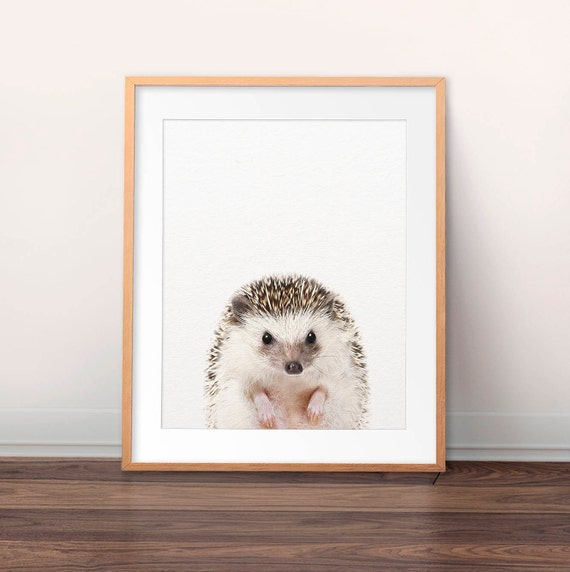 Hedgehog Print Nursery Decor Baby Hedgehog Art Woodland Etsy