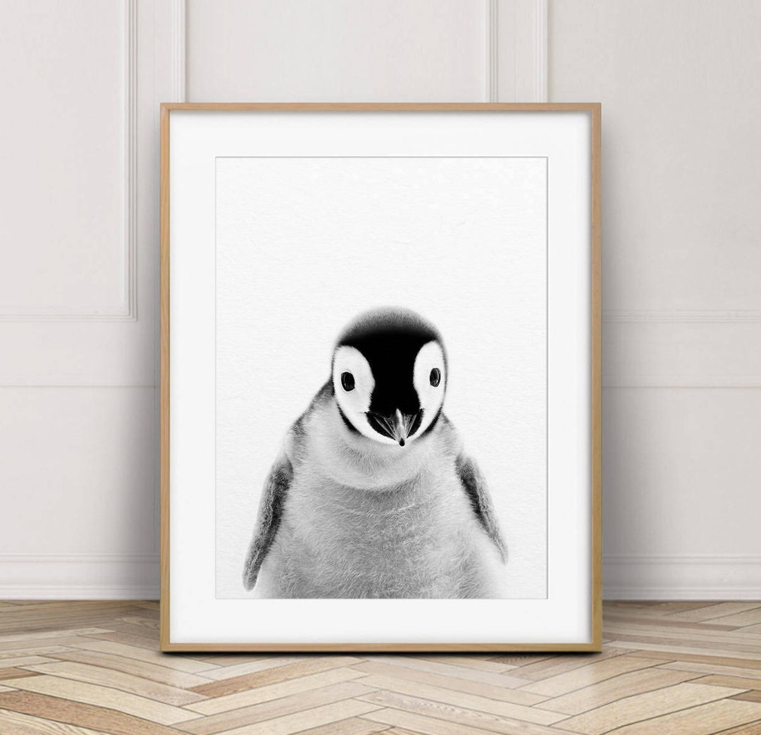 Penguin Print, Baby Penguin Photo, Antarctica Animal, Black and White