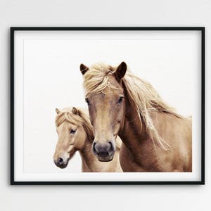 Horse Print, Horse Photo, Two Horses Wall Art, Wild Horse, Icelandic Horse, Wilderness Print, Equestrian Art, Modern Wall Art, Printable Art