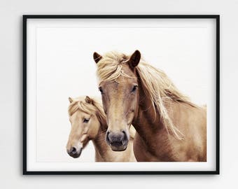 Impresión de caballo, foto de caballo, arte de la pared de dos caballos, caballo salvaje, caballo islandés, impresión del desierto, arte ecuestre, arte moderno de la pared, arte imprimible