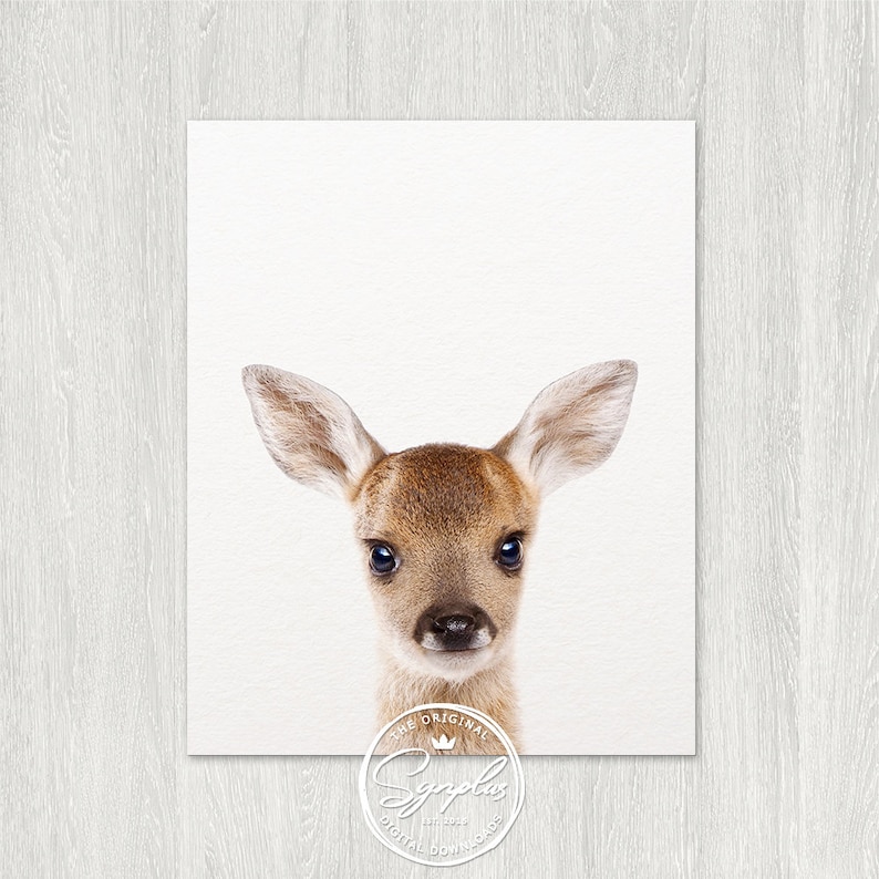 Baby Deer Print Woodland Nursery Decor Fawn Print Nursery Etsy