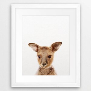 Puede incluir: Un retrato de cerca de un canguro joven con pelaje marr&oacute;n y grandes ojos oscuros. El canguro mira directamente a la c&aacute;mara con una expresi&oacute;n curiosa.