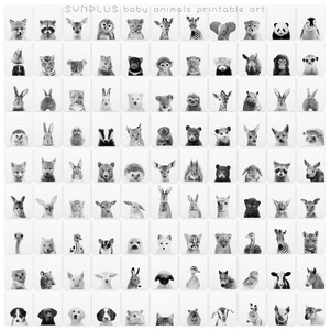 May include: A black and white printable art set featuring a variety of baby animals, including a fox, raccoon, owl, lion, giraffe, zebra, elephant, panda, penguin, tiger, leopard, rabbit, polar bear, sloth, monkey, hedgehog, badger, wolf, bear, deer, squirrel, cat, and more.