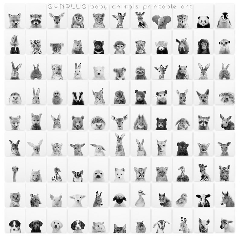 May include: A black and white printable art set featuring a variety of baby animals, including a fox, raccoon, owl, lion, giraffe, zebra, elephant, panda, penguin, tiger, leopard, rabbit, polar bear, sloth, monkey, hedgehog, badger, wolf, bear, deer, squirrel, cat, and more.