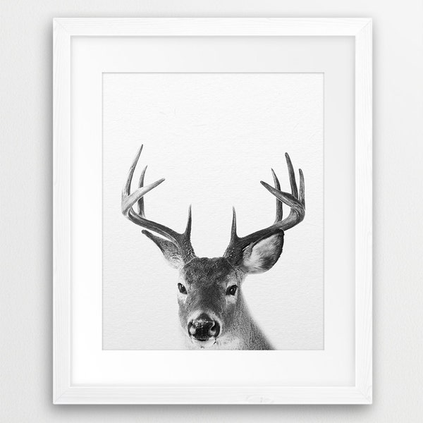 Deer Print, Deer Photography Black And White, Woodlands Animal, Antlers Print, Modern Wall Art, Nursery Wall Art, Home Decor, Printable Art