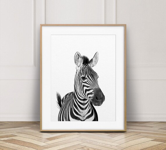 Zebra Print Safari Animals Art Nursery Wall Art Black Etsy