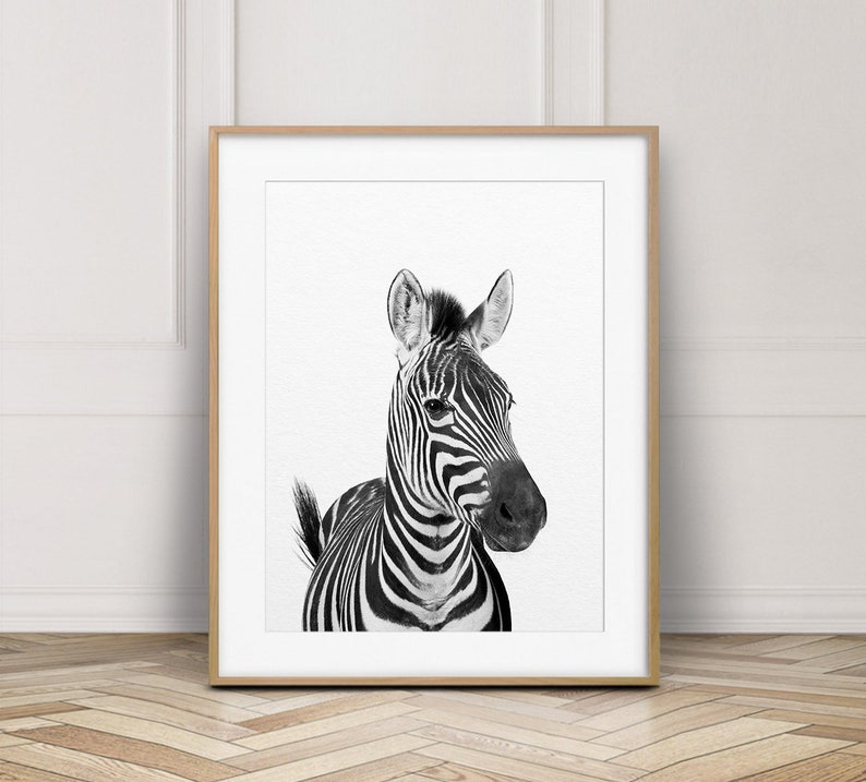 Zebra Print, Safari Animals Art, Nursery Wall Art, Black & White, Safari Nursery Decor, Safari Animal Prints, Modern Art, Kids Printable Art image 1