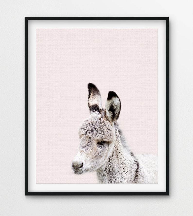 Baby Donkey Print Pink Nursery Wall Art Farm Animal Prints Etsy