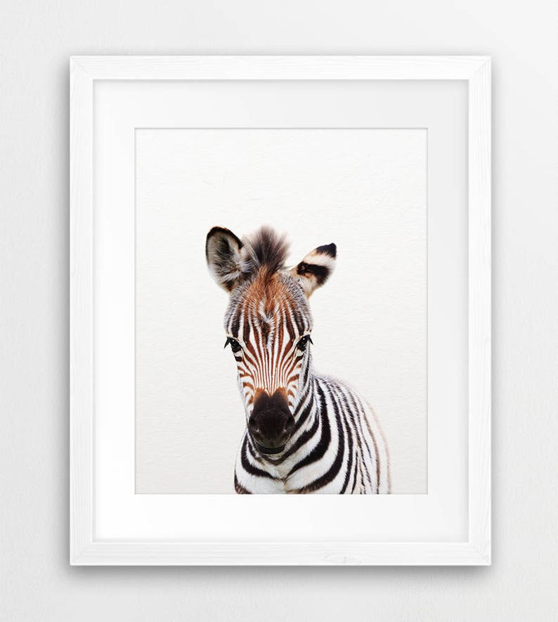 Safari Nursery Decor Baby Animals Set 4 Lion Zebra Elephant Etsy