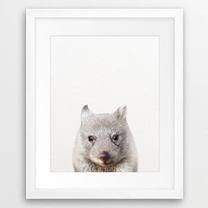 Wombat Print, Baby Wombat Wall Art, Cute Baby Animal Prints, Australian Animal, Nursery Animals Art, Nursery Decor, Kids Room Printable Art image 2