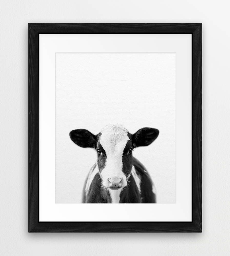 Cow Print Nursery Decor Baby Cow Print Animal Art Farm Etsy