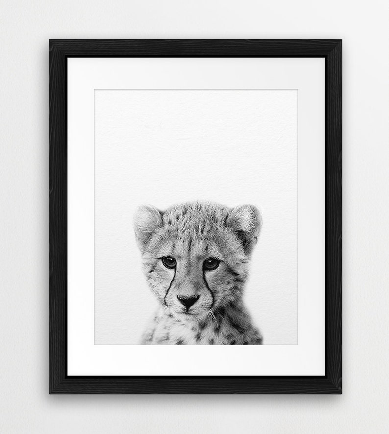 Cheetah Print Nursery Wall Art Baby Animal Prints Cheetah Etsy