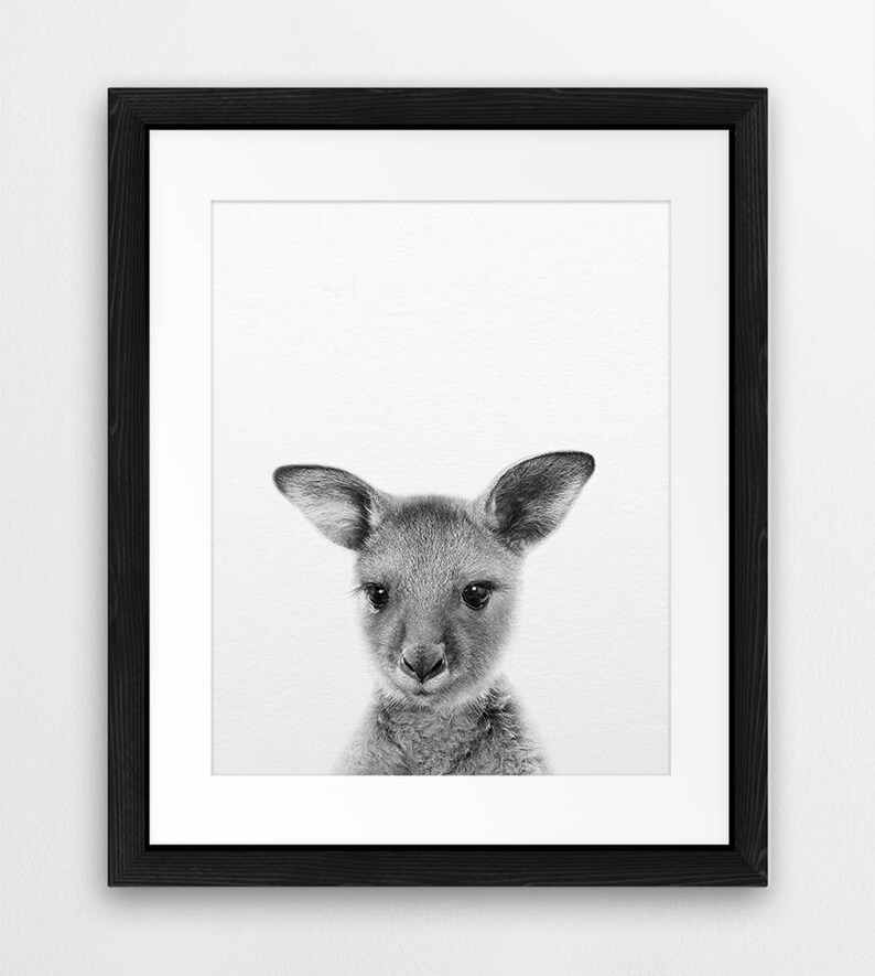 Impression de kangourou de bébé, art mignon de kangourou, art de mur de pépinière, animal australien, impressions animales noires et blanches, décor de pépinière, chambre d'enfants imprimable image 3