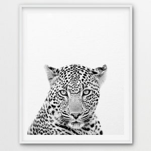 Leopard Print, Leopard Wandkunst, Safari Dekor, Tierdrucke, Safari Tiere schwarz & weiß, Kinderzimmer Dekor, Kinderzimmer Kunst, druckbare Kinder Kunst Bild 2