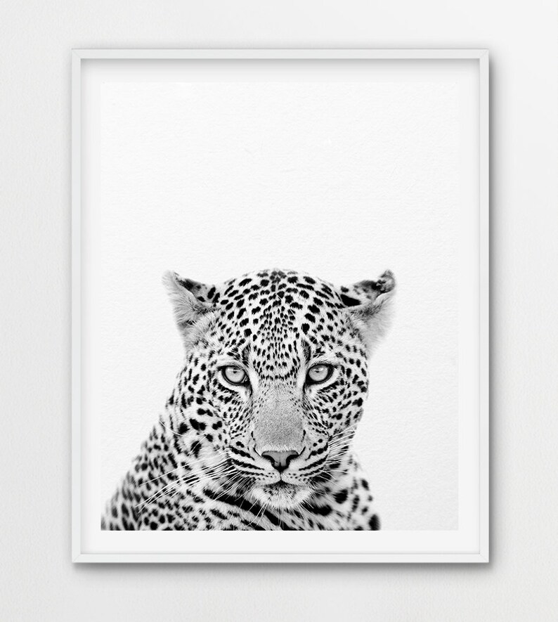 Leopard Print, Leopard Wandkunst, Safari Dekor, Tierdrucke, Safari Tiere schwarz & weiß, Kinderzimmer Dekor, Kinderzimmer Kunst, druckbare Kinder Kunst Bild 2