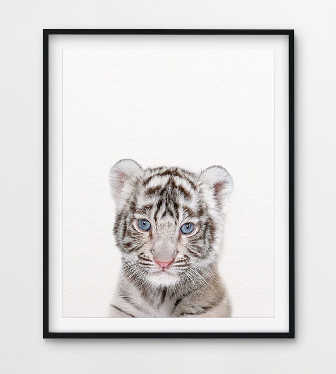 Tiger Print White Tiger Cub Art Baby Animal Prints Woodland Etsy UK
