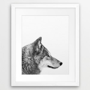 May include: A black and white photograph of a wolf's head and neck, looking to the right. The wolf is in profile, with its fur visible. The background is white.