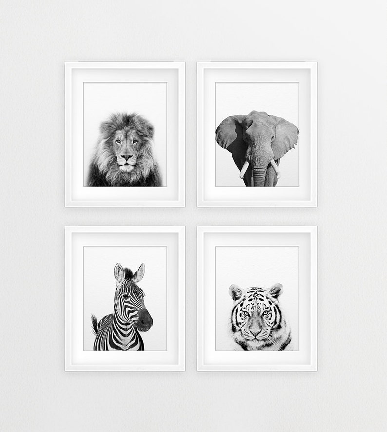 Zebra Print, Safari Animals Art, Nursery Wall Art, Black & White, Safari Nursery Decor, Safari Animal Prints, Modern Art, Kids Printable Art image 4