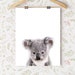 Baby Koala Print, Australian Animal, Nursery Wall Art, Baby Koala ...